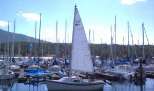 Mongomery 15 Main Sail